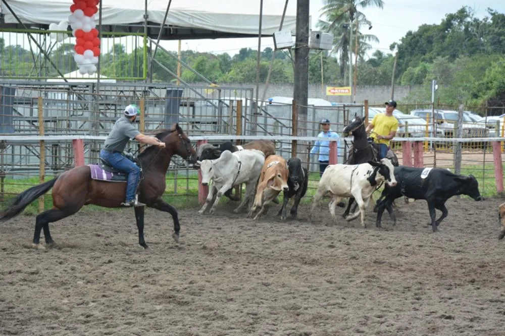 Foto: Jorge Magalhães - Arquivo