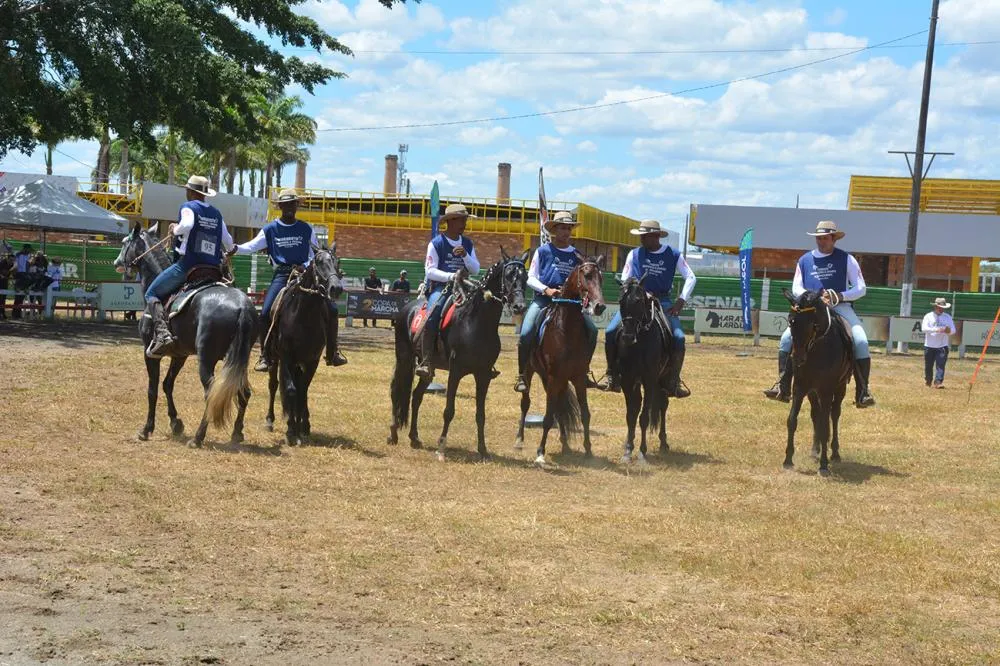 Foto: Jorge Magalhães