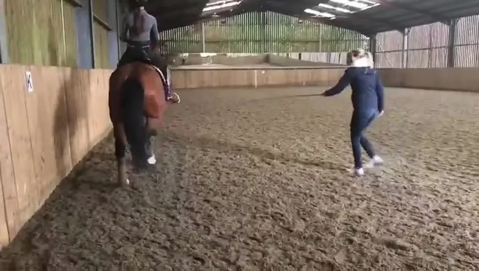 Vídeo mostra Dujardin maltratando cavalo em treino | Foto: reprodução